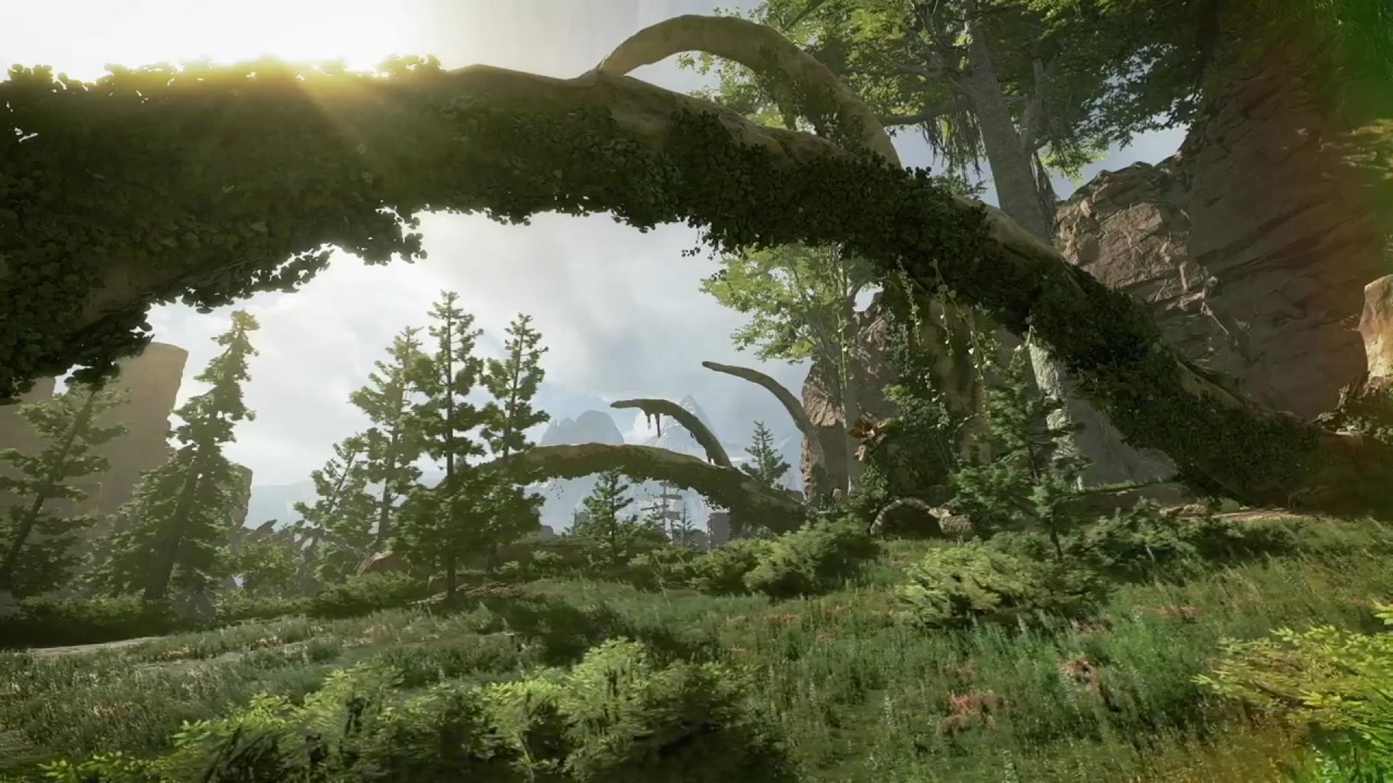 Apex Legends forest location