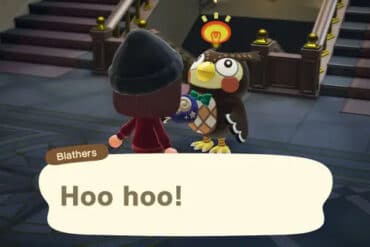 How to fix ACNH Blathers not talking about Brewser - Animal Crossing New Horizons