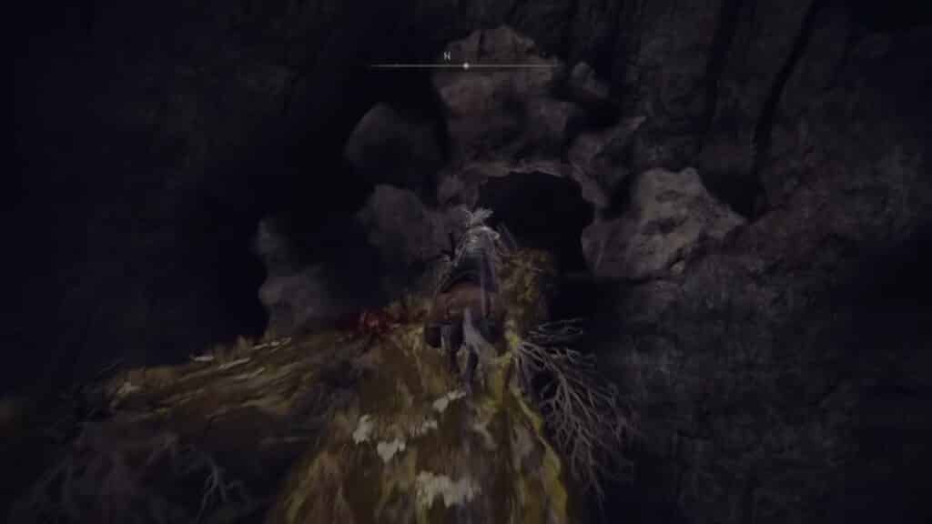 Jump down the branch and into the cave - Elden Ring How to Get the Elden Stars Incantation