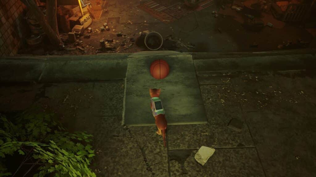 Where to dunk a basketball in Stray