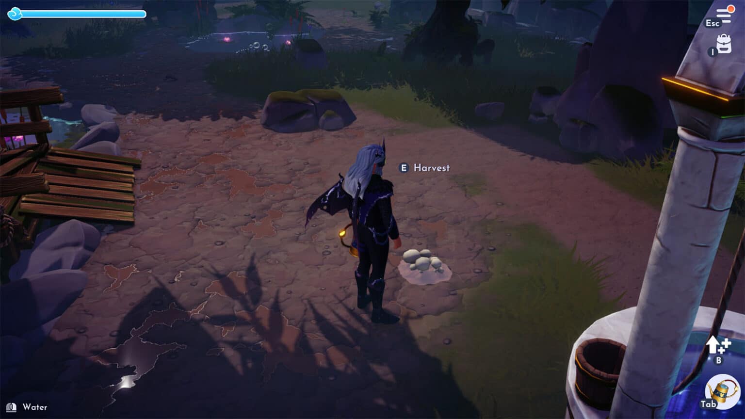 Mushrooms Not Spawning Workaround for Disney Dreamlight Valley Disney Dreamlight Valley Mushrooms Not Spawning cover