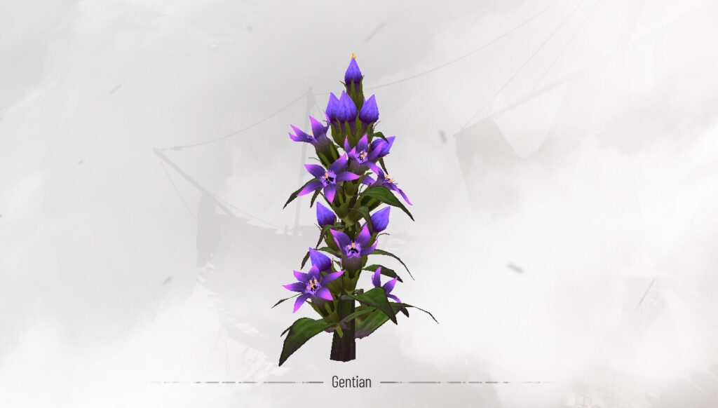 Hugo's Herbarium 3 - Gentian - A Plague Tale Requiem All Hugo's Herbarium Locations