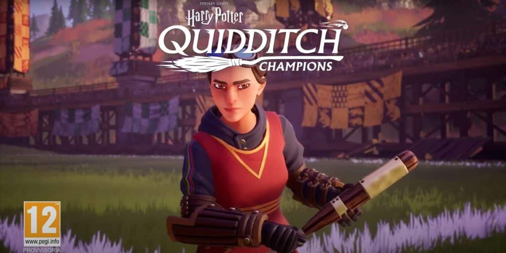 harry potter quidditch champions