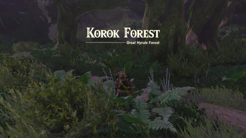 Tears of the Kingdom Korok Forest cover