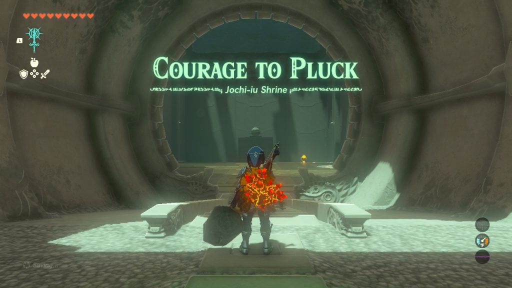 Zelda Tears of the Kingdom - Jochi-iu Shrine: Courage to Pluck Puzzle Walkthrough