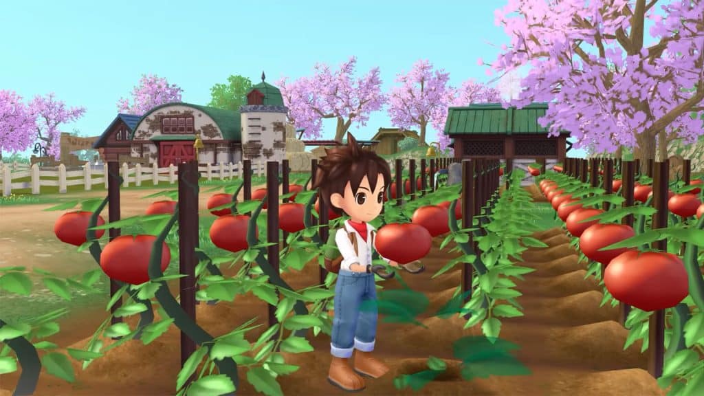 Farm Life - Story of Seasons: A Wonderful Life Chapter 3: Blessings Walkthrough