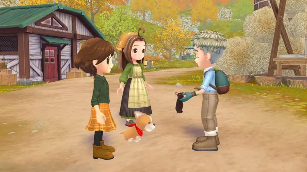 Changes in Chapter 7: Beyond - Story of Seasons: A Wonderful Life Walkthrough