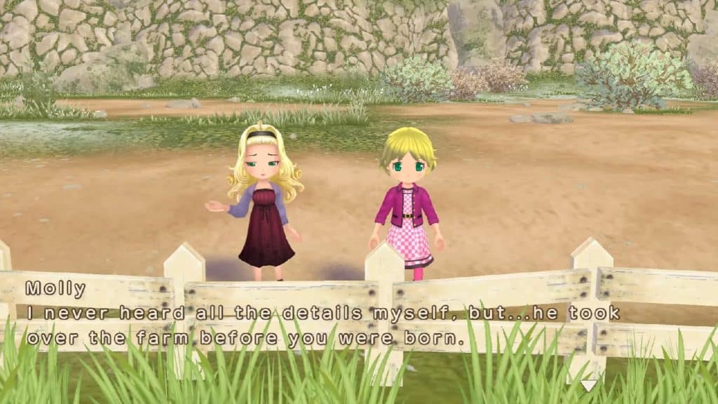 Adult Stage - Story of Seasons A Wonderful Life Chapter 5 Traversal Walkthrough