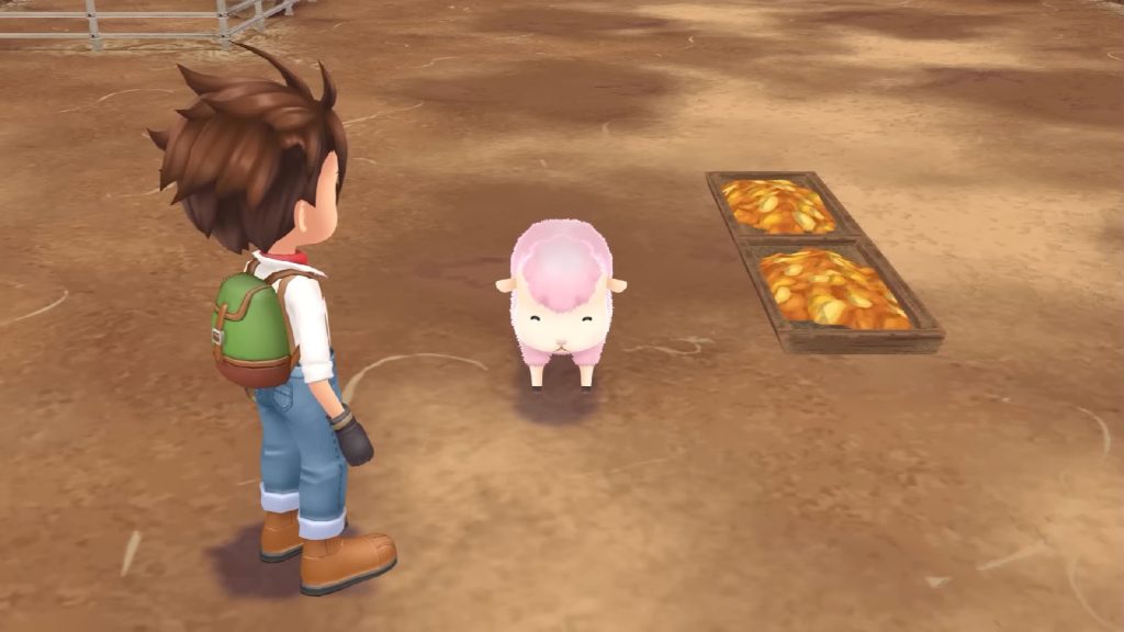 Taking care of a pregnant sheep and a lamb in Story of Seasons: A Wonderful Life