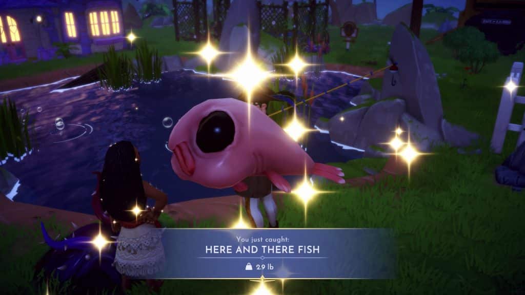 Here and There Fish - DDLV Here and There and Back Again quest walkthrough