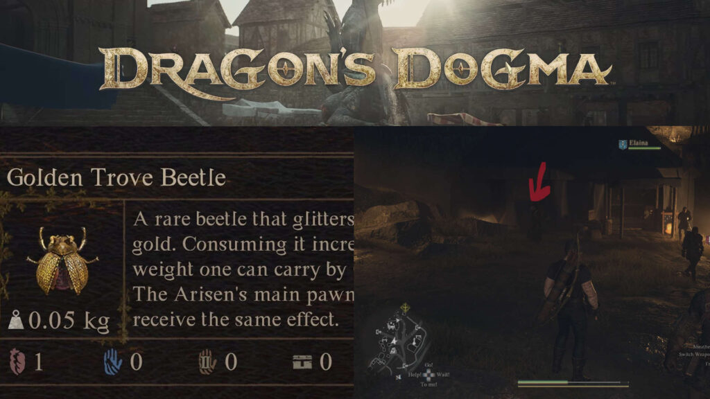 Better Beetles & Do Not Be Afraid of Excess Weight - Top 10 Best Mods in Dragon's Dogma 2